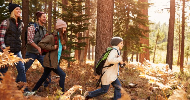 A family take a walk in the woods